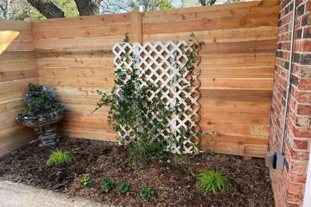 Photo of Outdoor in Burleson