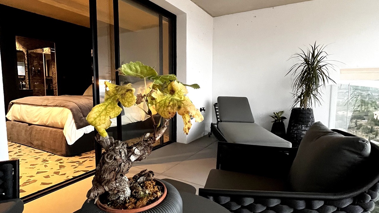 Photo of Bedroom in Treilles