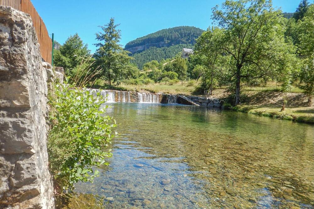 Photo of Others in Treves