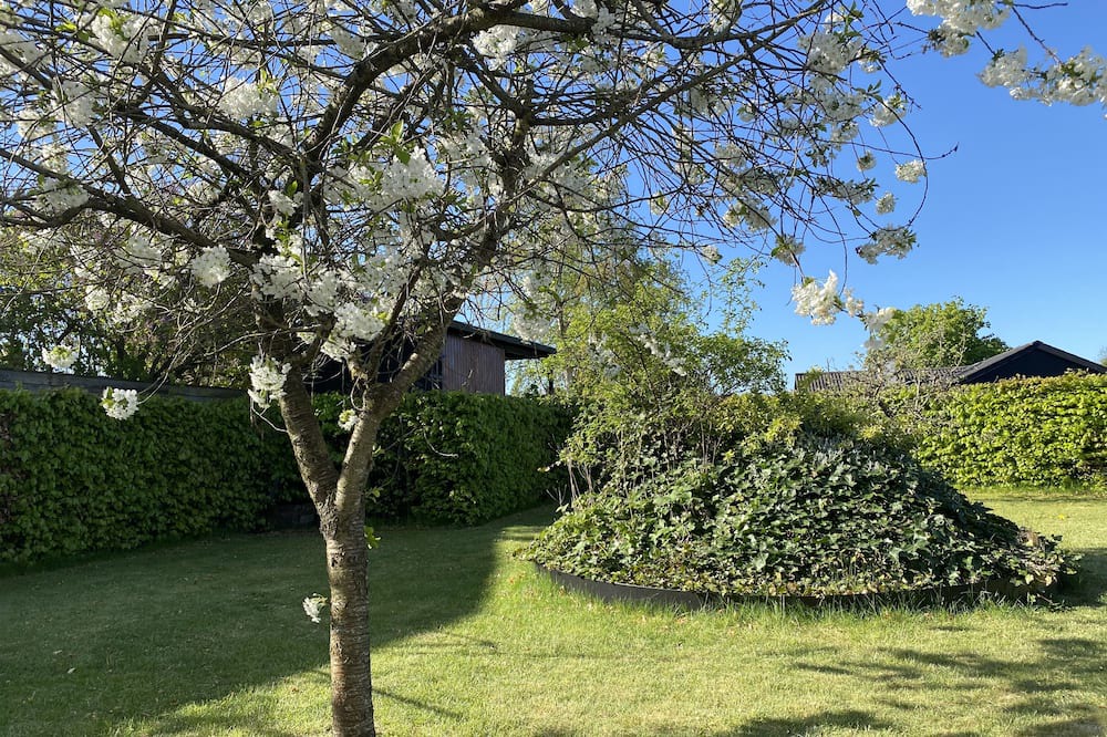 Photo of Outdoor in Vejlby Risskov