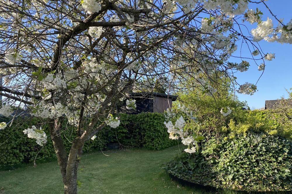 Photo of Outdoor in Vejlby Risskov