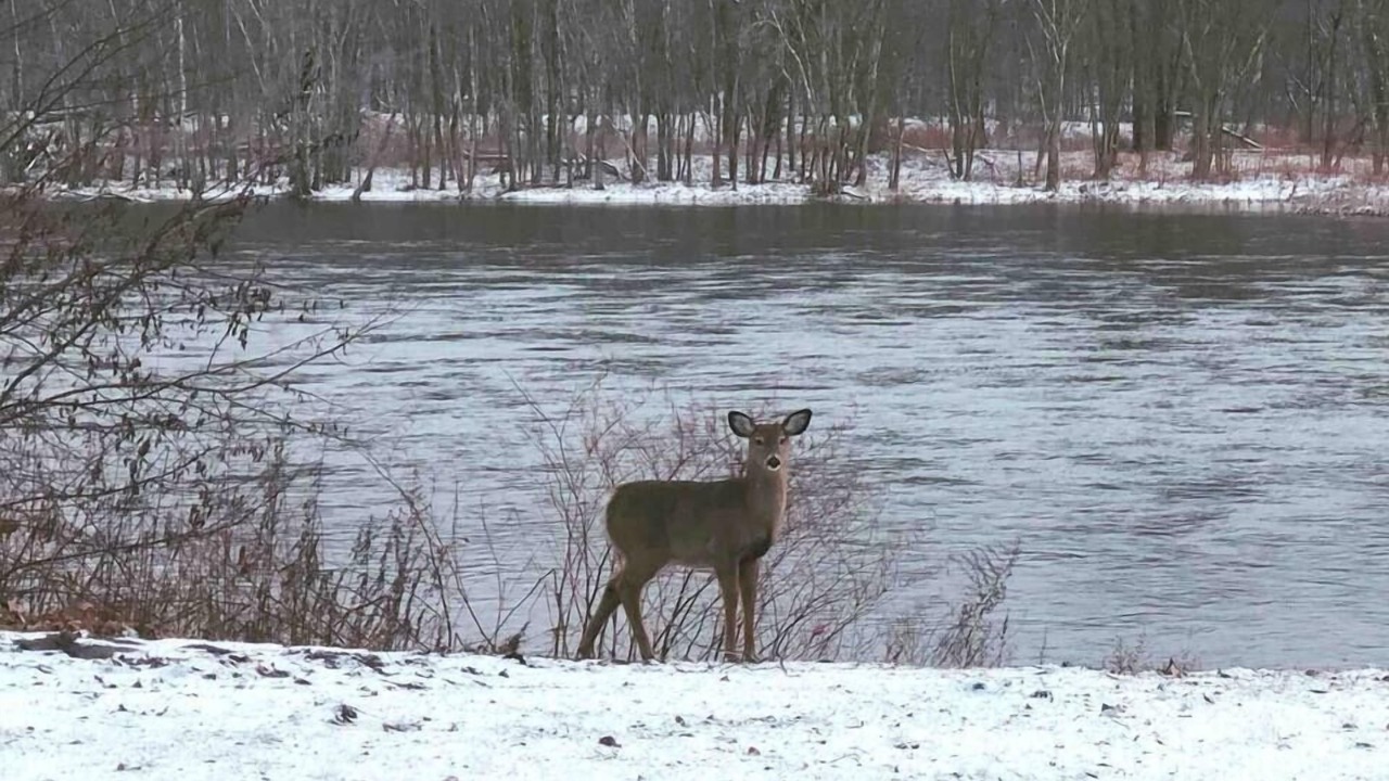 Photo of Others in Matamoras