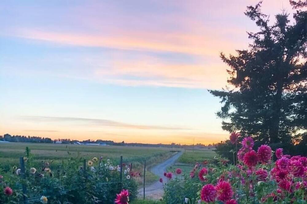 Photo of Outdoor in Lynden