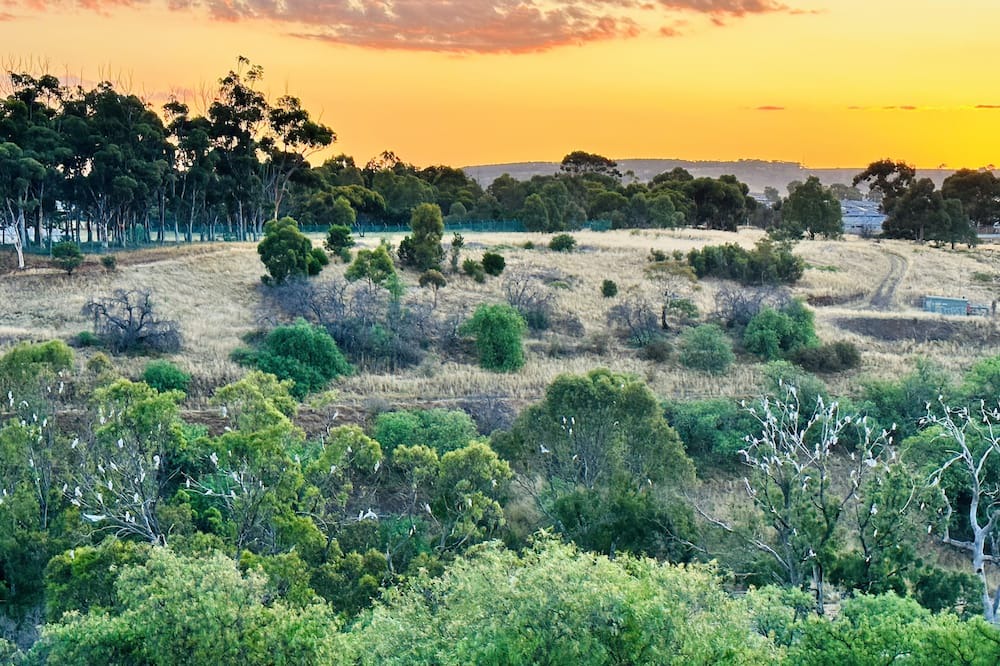 Photo of Others in Bacchus Marsh