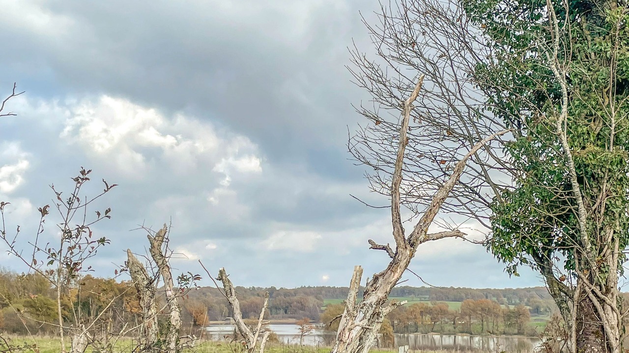 Photo of Others in Lussac-Les-Eglises