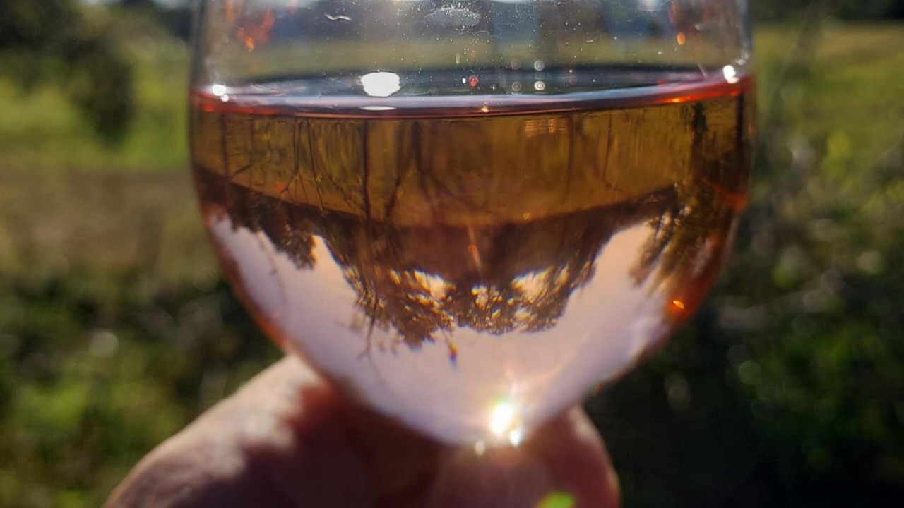 Photo of Others in Lussac-Les-Eglises