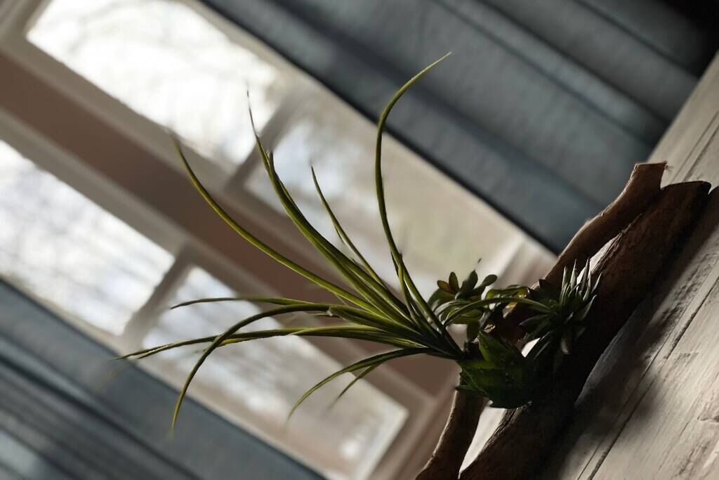 Photo of Others in Rotterdam