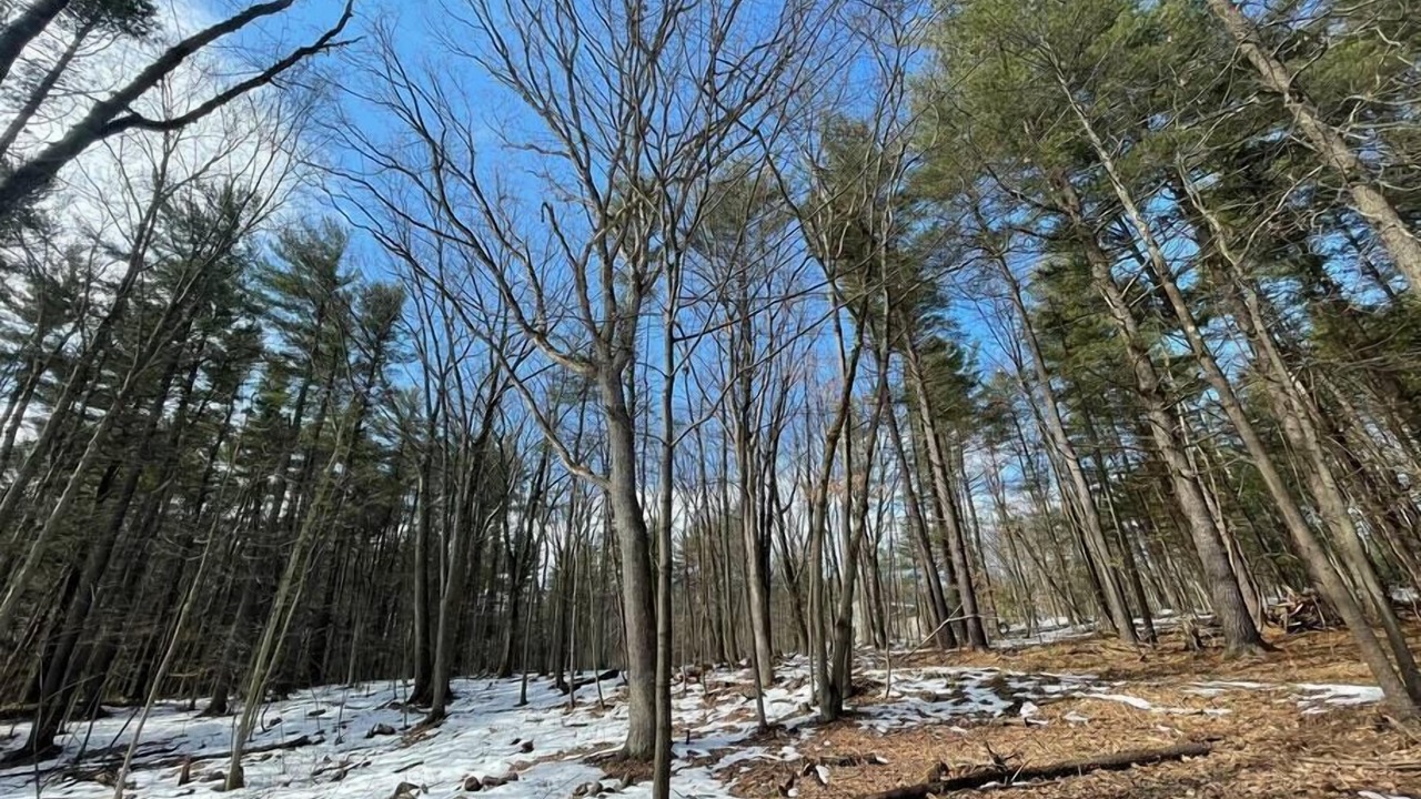 Photo of Outdoor in Rotterdam