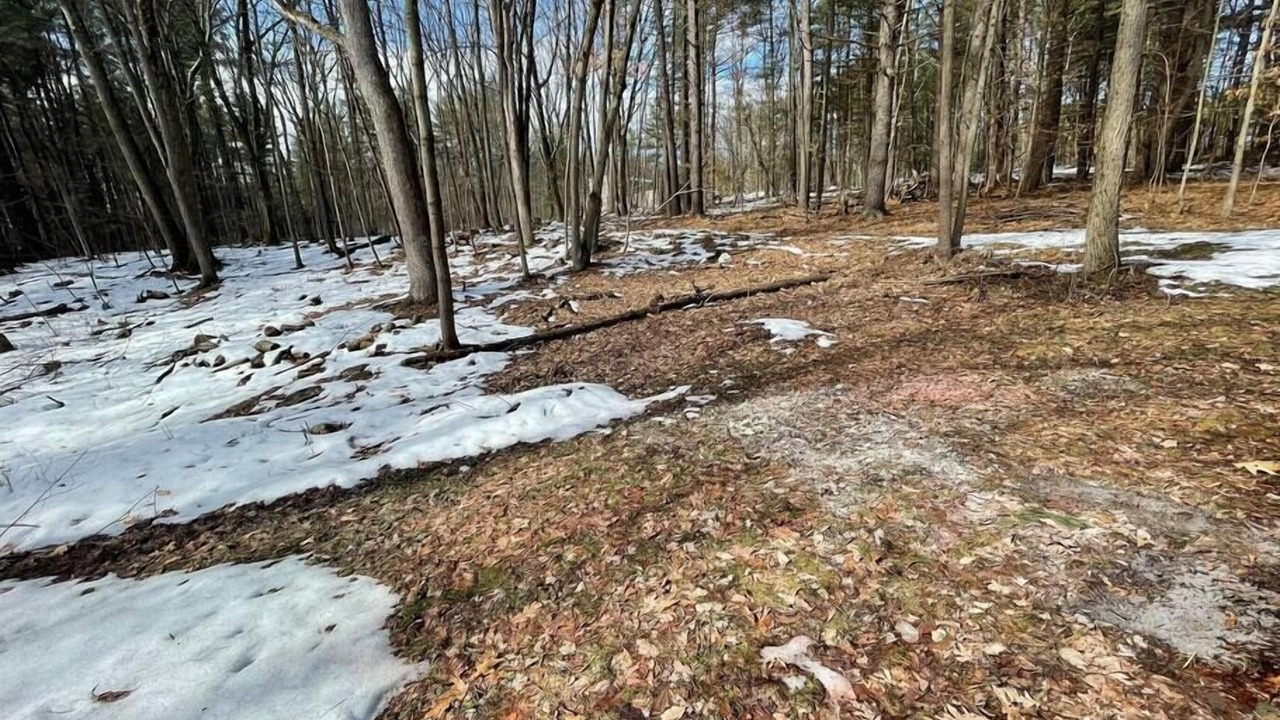 Photo of Outdoor in Rotterdam