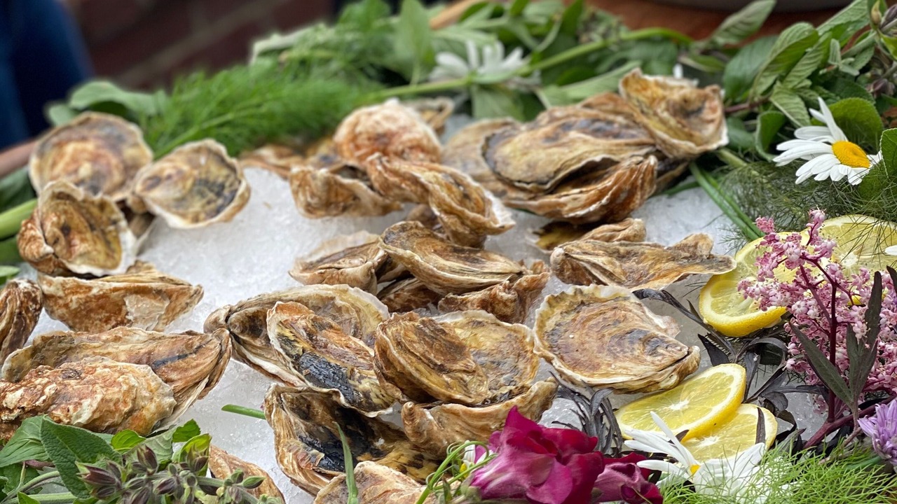 Photo of Others in Shelter Island Heights