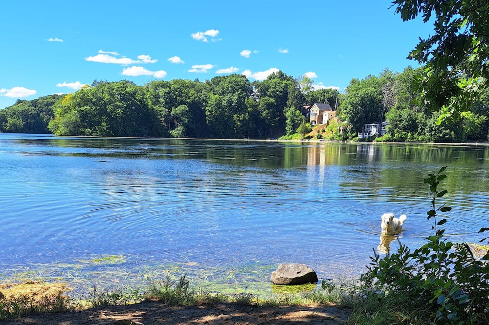 Photo of Outdoor in Wayland