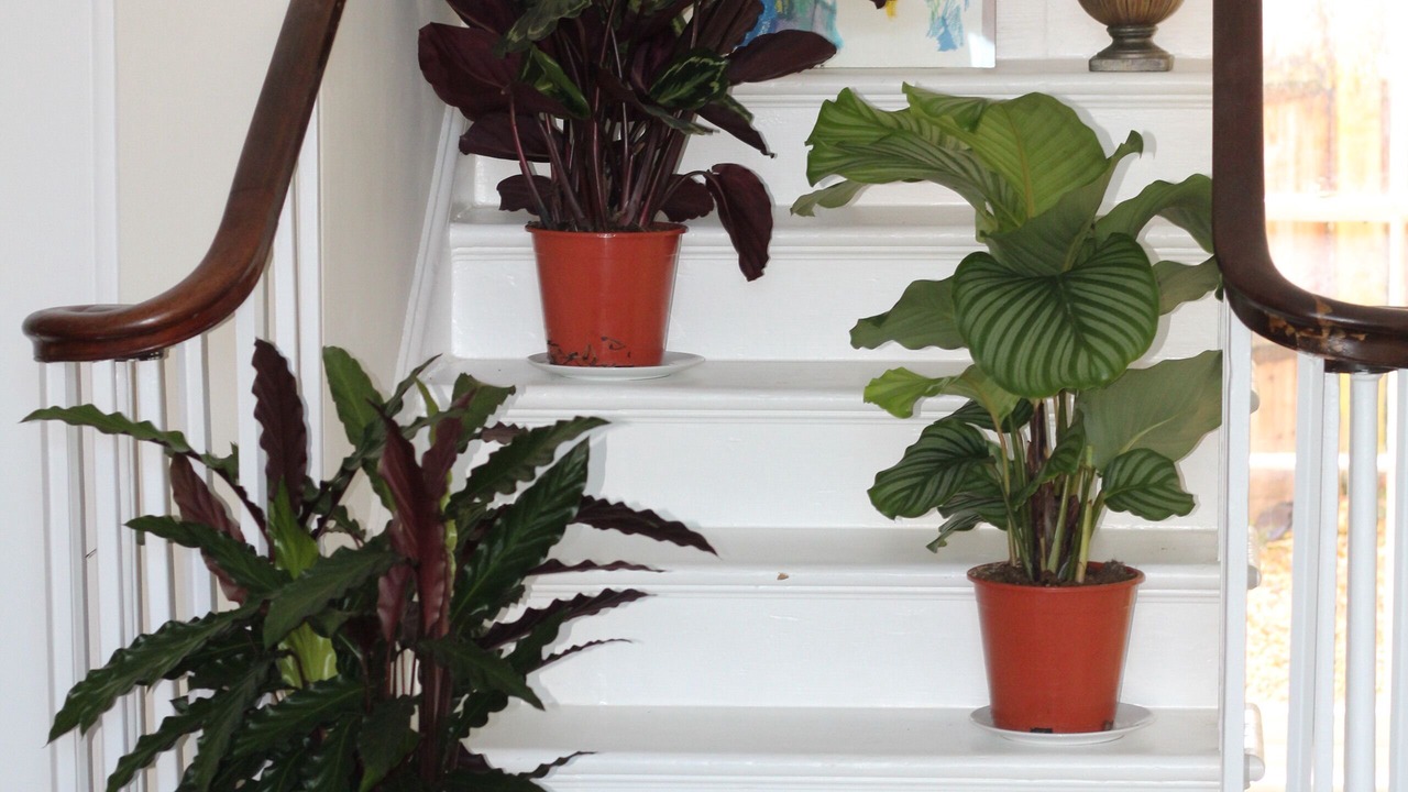 Photo of Others in Reading