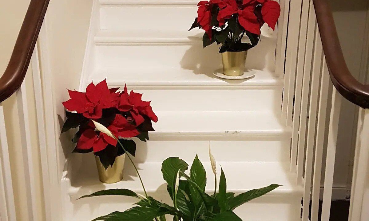 Photo of Others in Reading