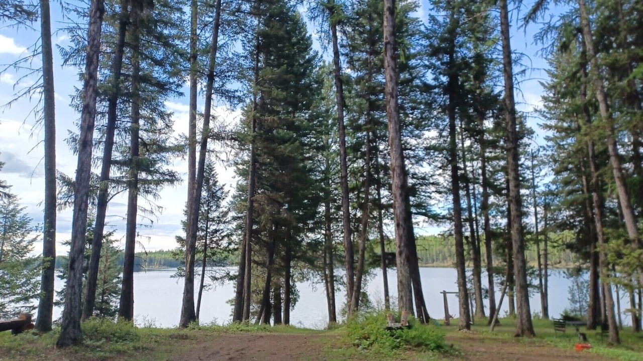 Photo of Outdoor in Olney