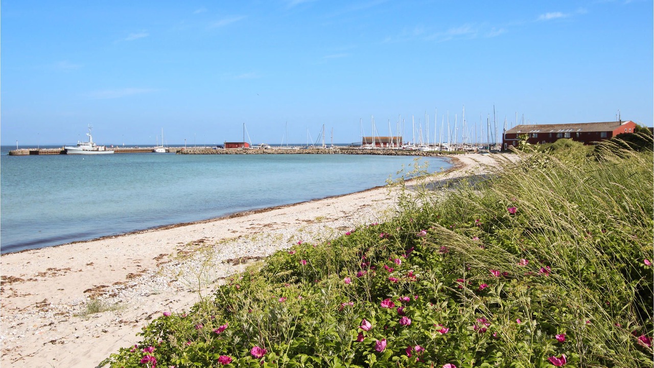 Photo of Others in Samsø