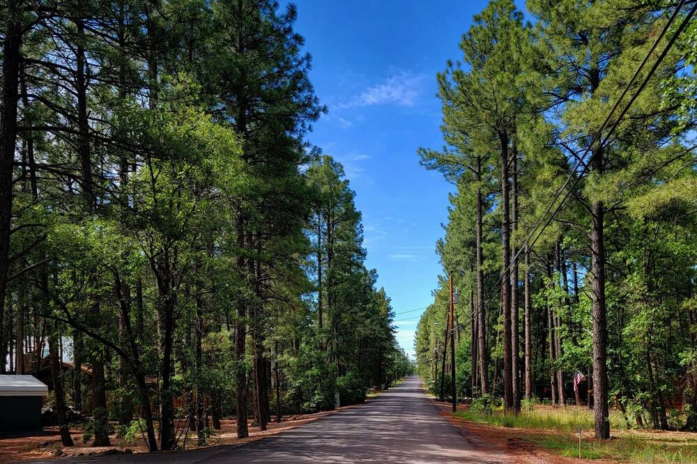 Photo of Outdoor in Pinetop-Lakeside