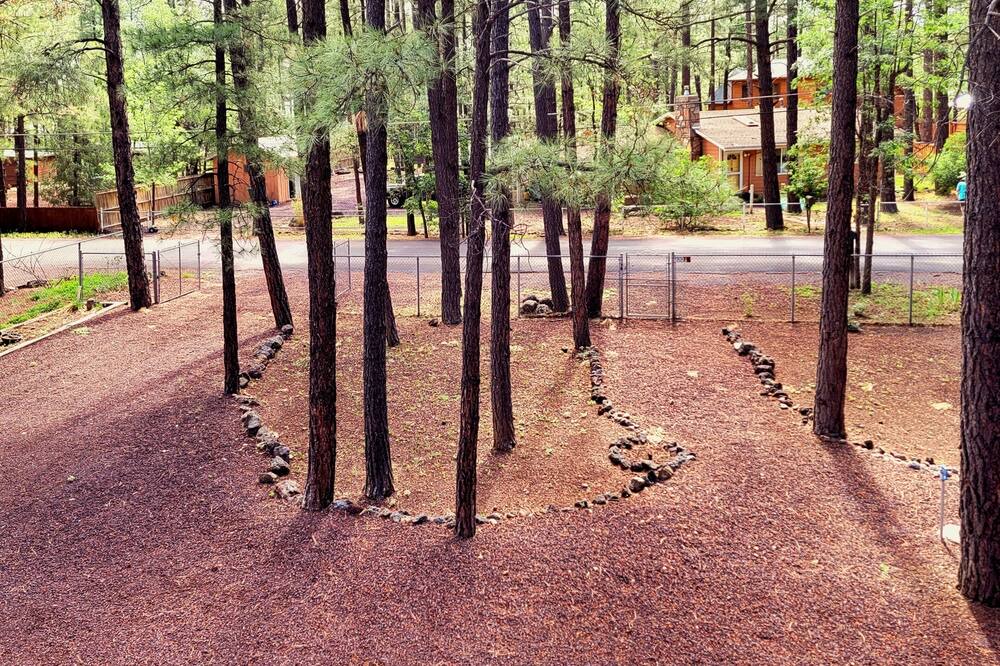 Photo of Outdoor in Pinetop-Lakeside