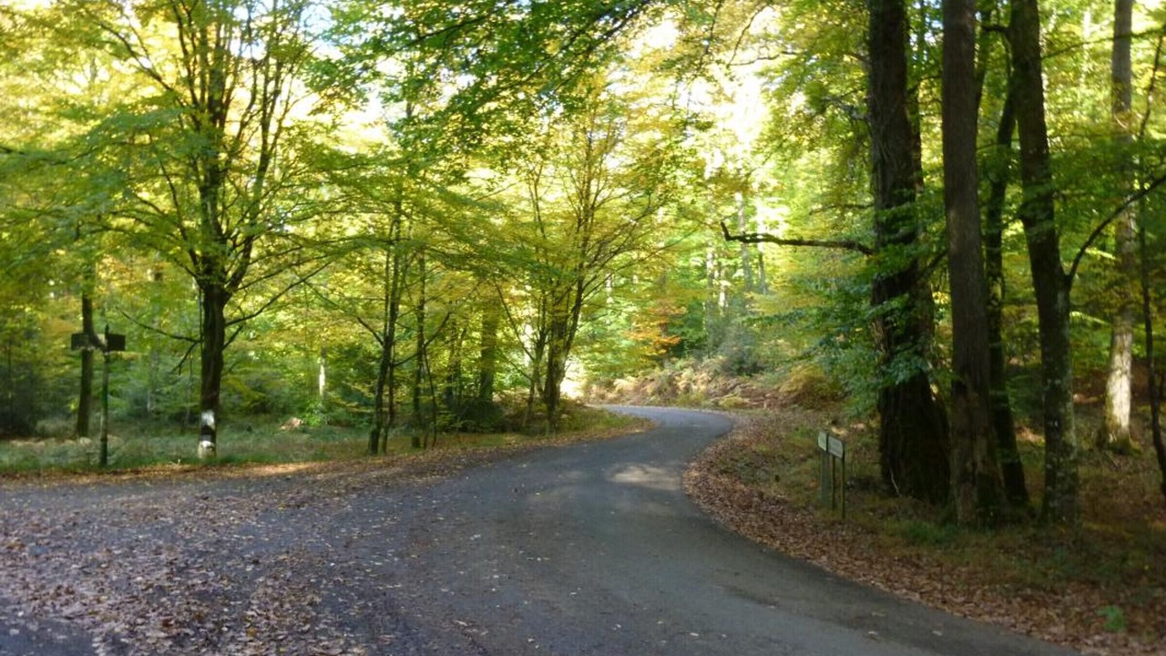 Photo of Outdoor in Le Pin-la-Garenne