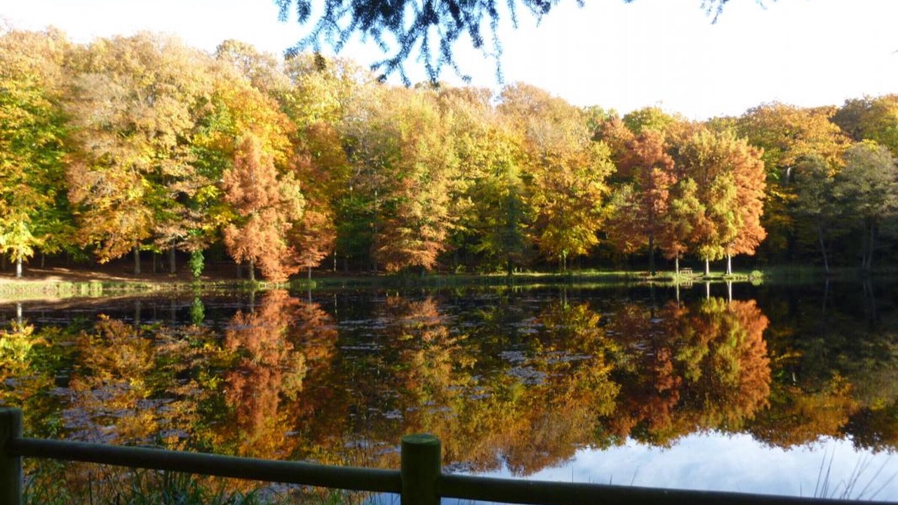 Photo of Outdoor in Le Pin-la-Garenne