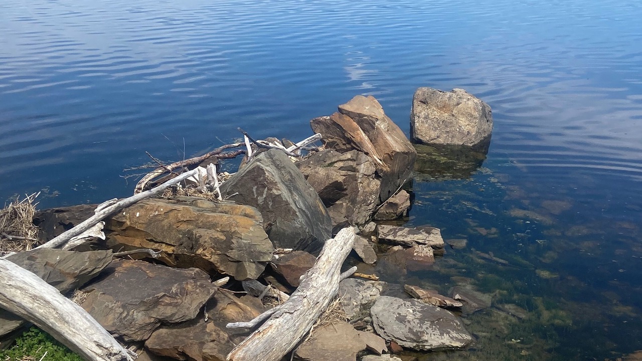 Photo of Others in Queensbury