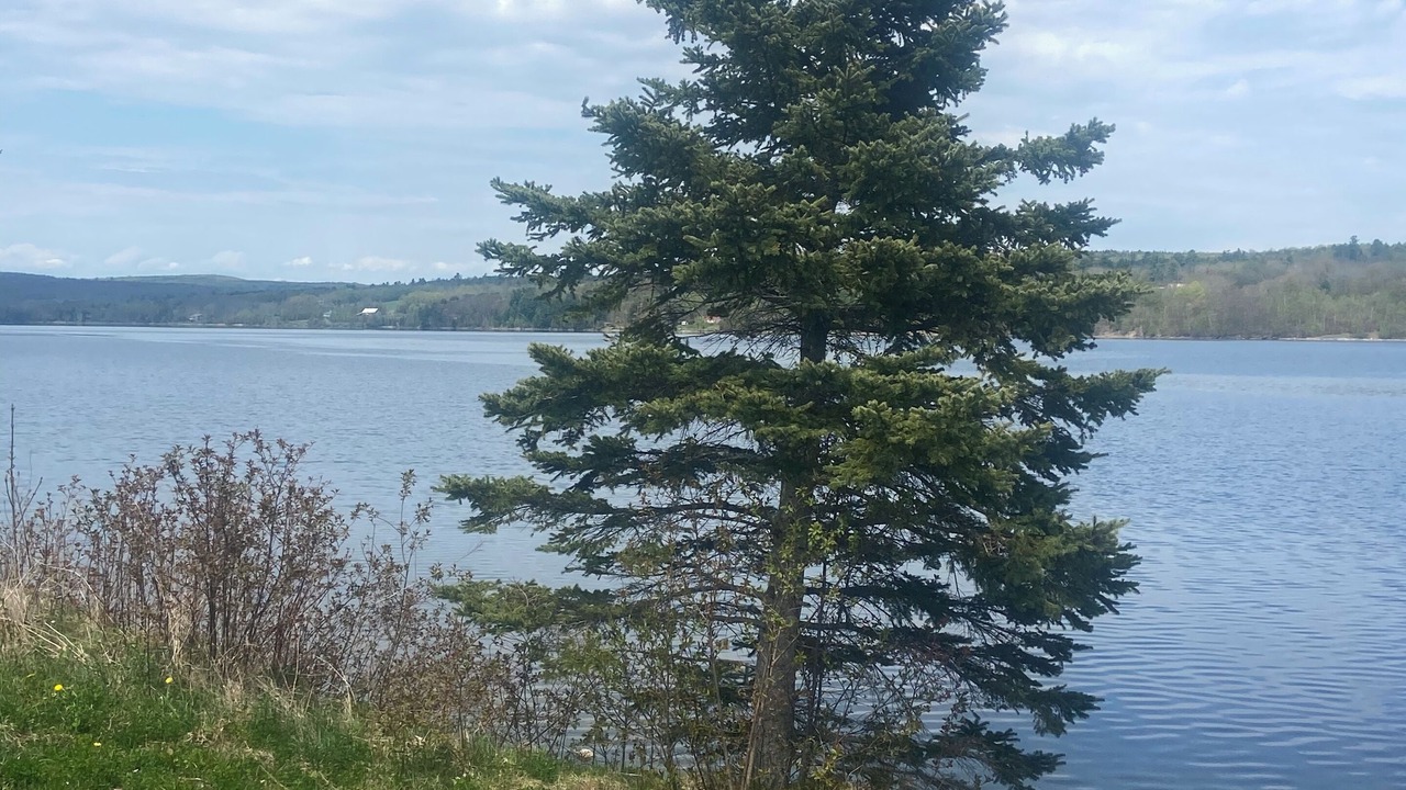 Photo of Others in Queensbury