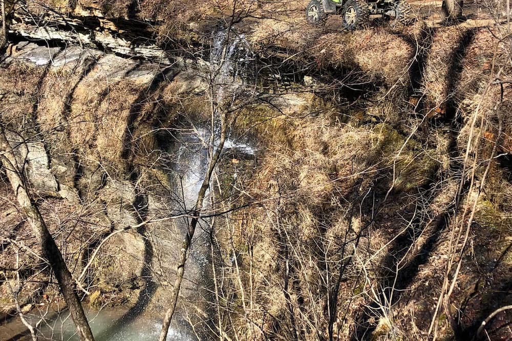 Photo of Outdoor in Elkins