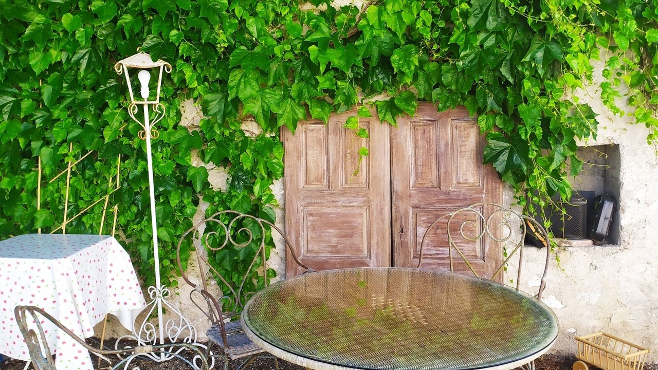 Photo of Outdoor in Montlivault