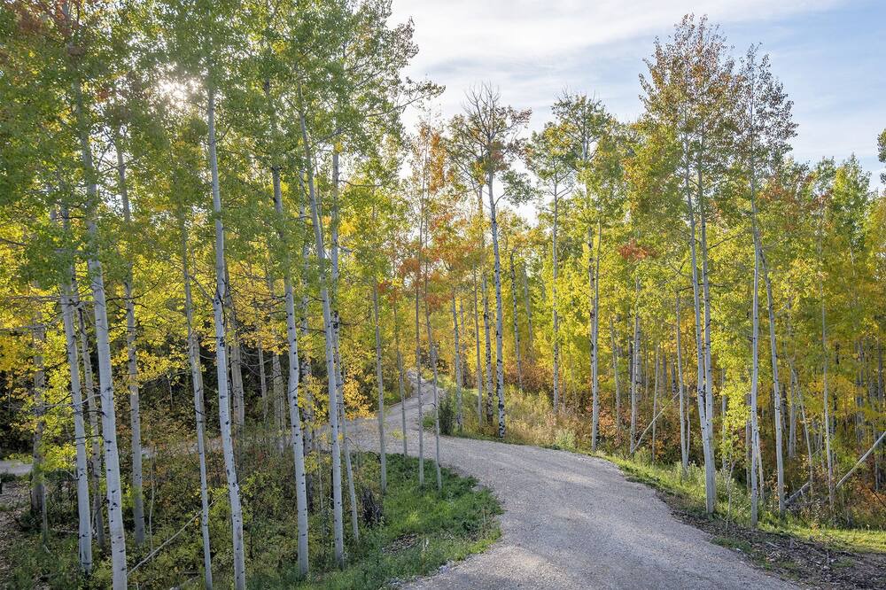 Photo of Others in Clawson