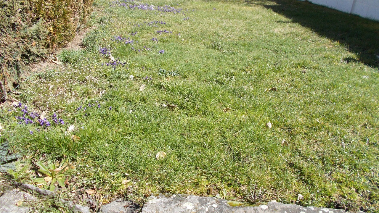 Photo of Outdoor in Chambon-sur-Lac
