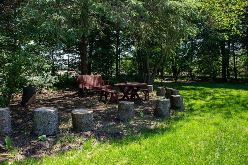 Photo of Outdoor in Berrien Springs