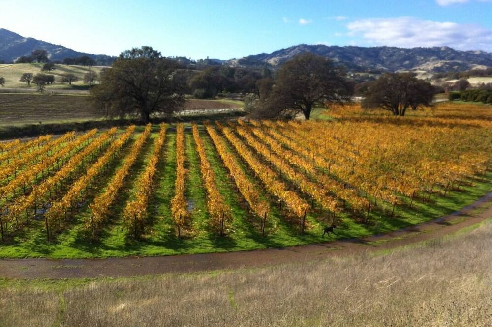 Photo of Others in Winters