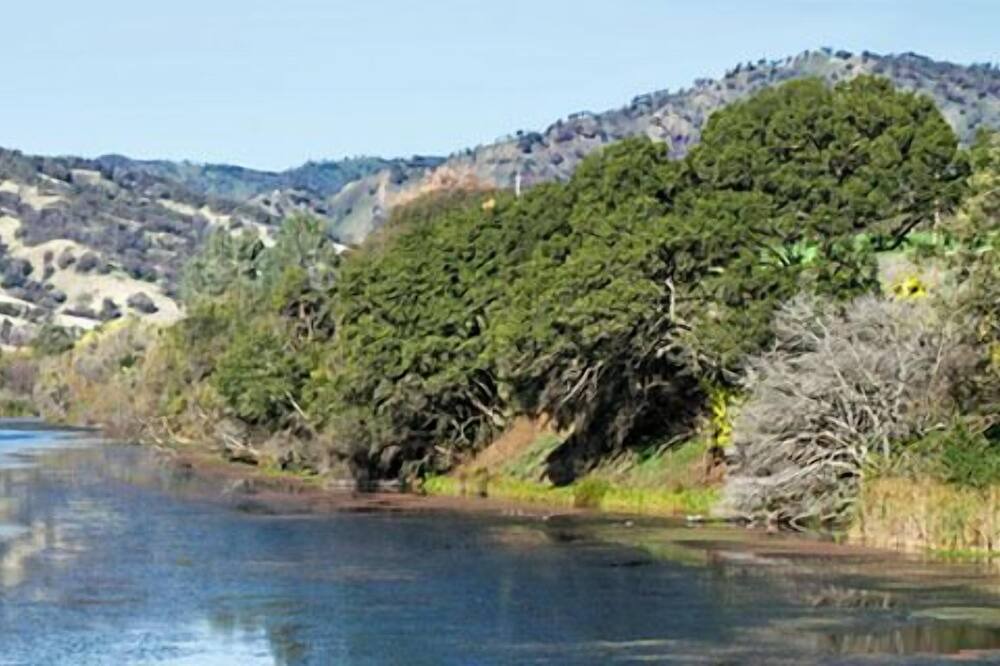 Photo of Outdoor in Winters