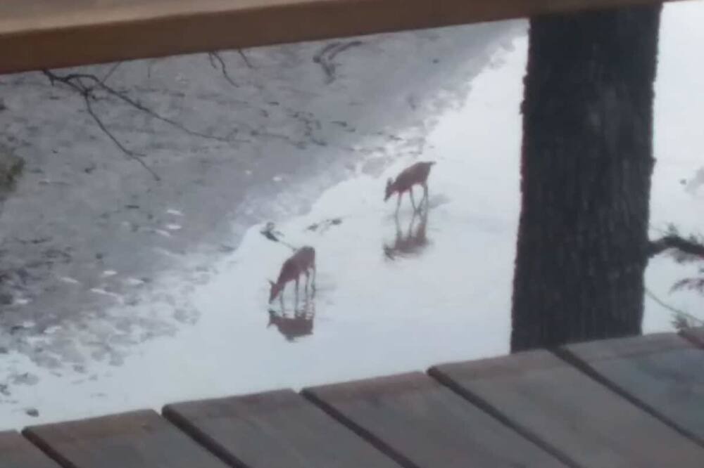 Photo of Others in Eureka Springs