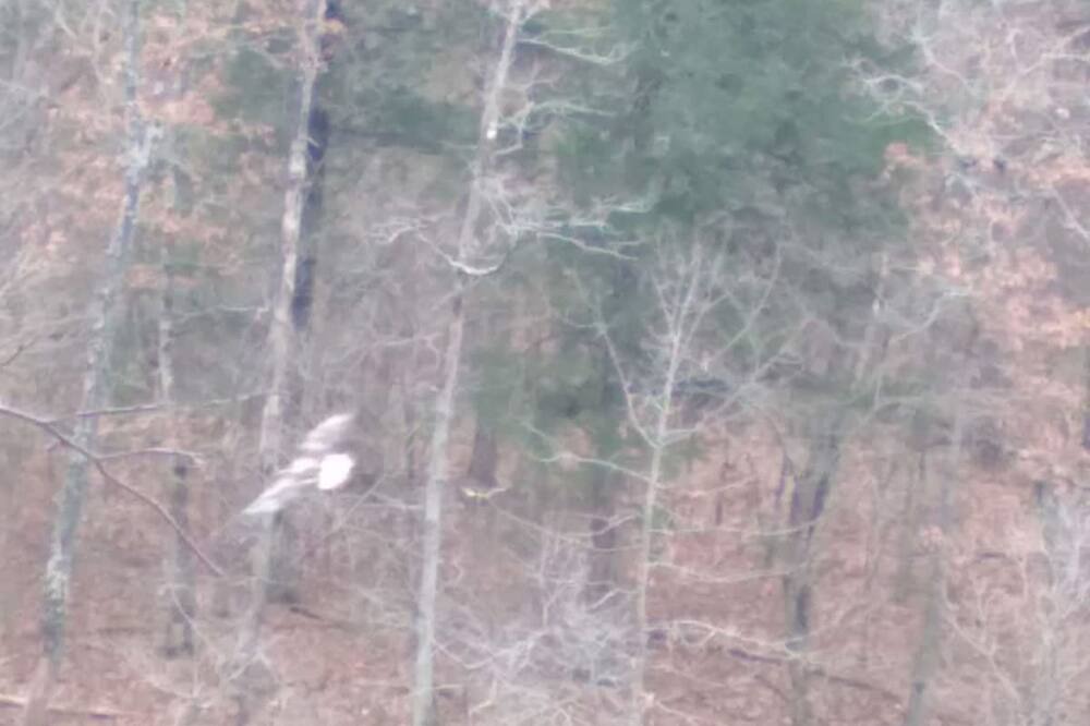 Photo of Others in Eureka Springs