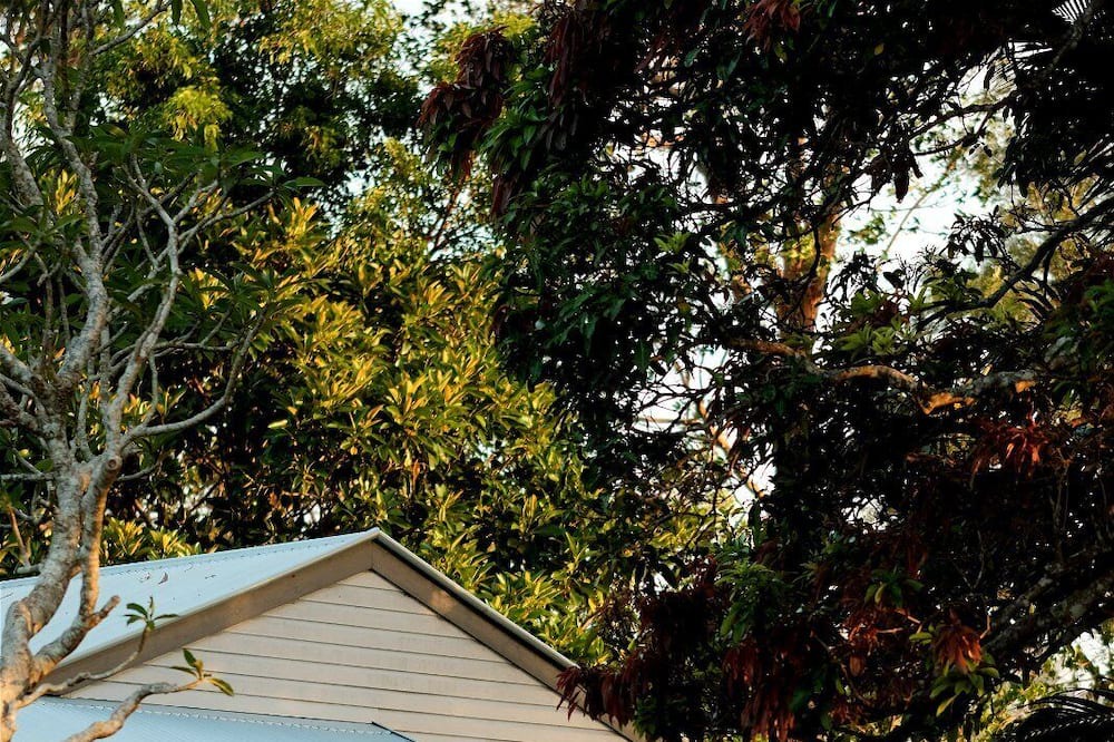 Photo of Outdoor in Pearces Creek