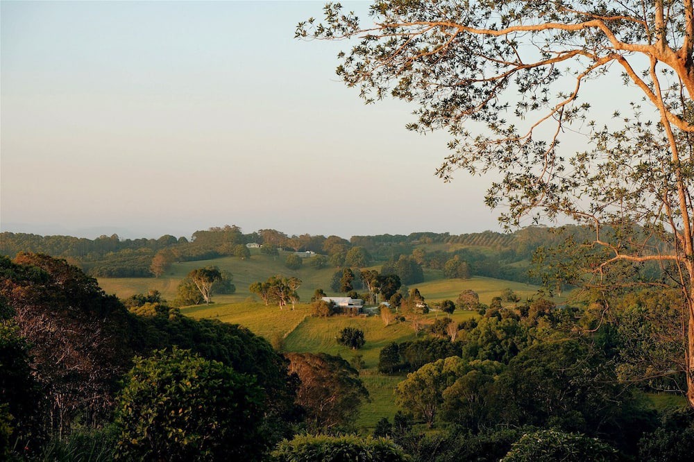 Photo of Others in Pearces Creek