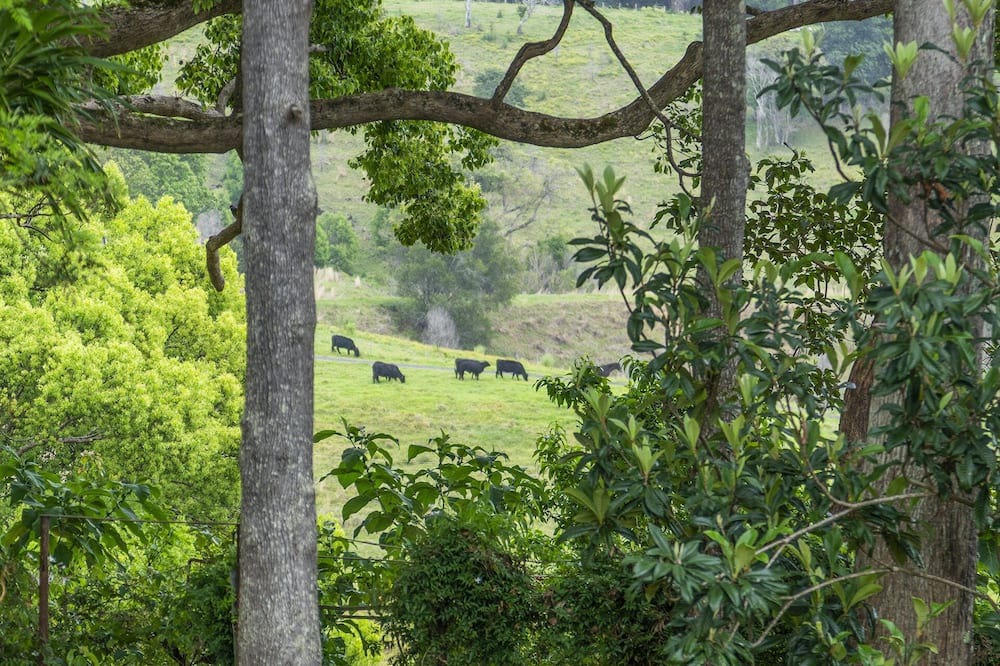 Photo of Outdoor in Pearces Creek