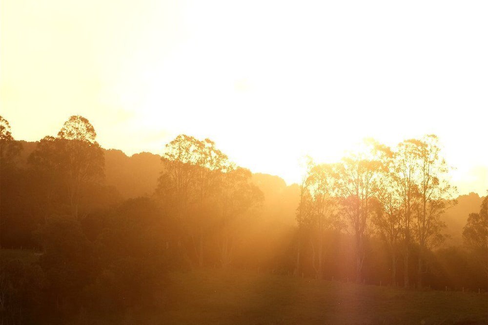 Photo of Outdoor in Pearces Creek