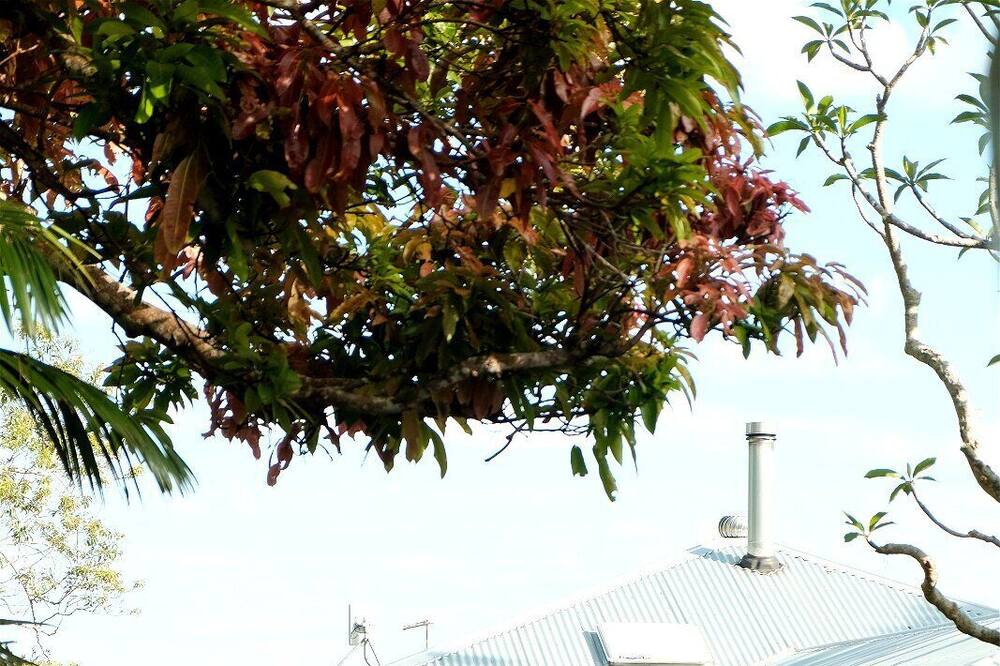 Photo of Outdoor in Pearces Creek