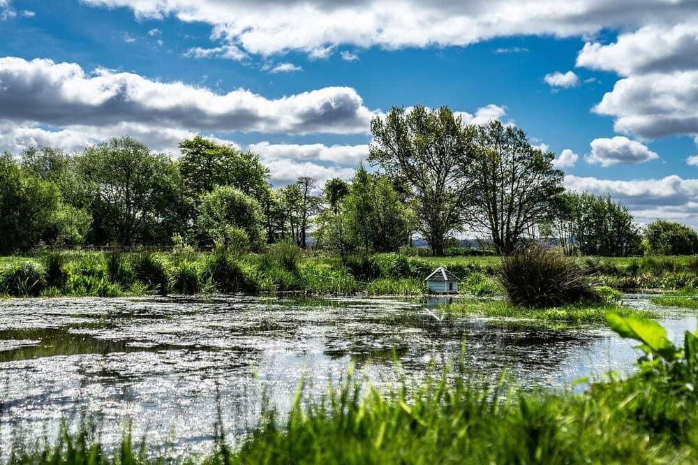 Photo of Others in Balmaha