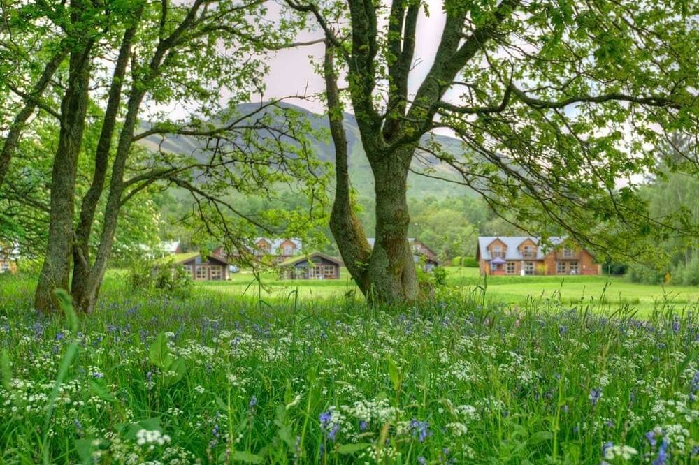 Photo of Others in Balmaha