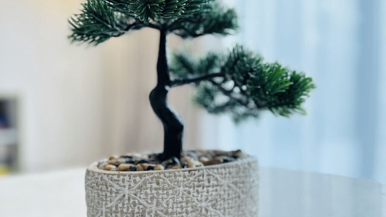 Photo of Others in Stepney Green