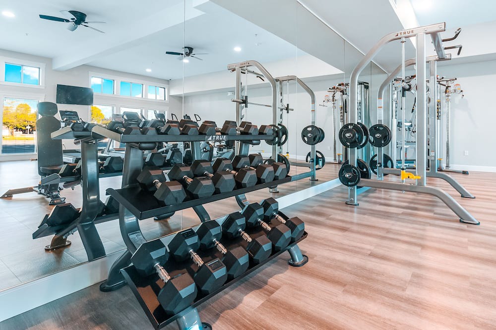 Photo of Others in Olympia