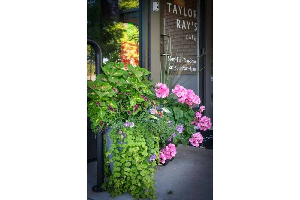 Photo of Others in Olympia