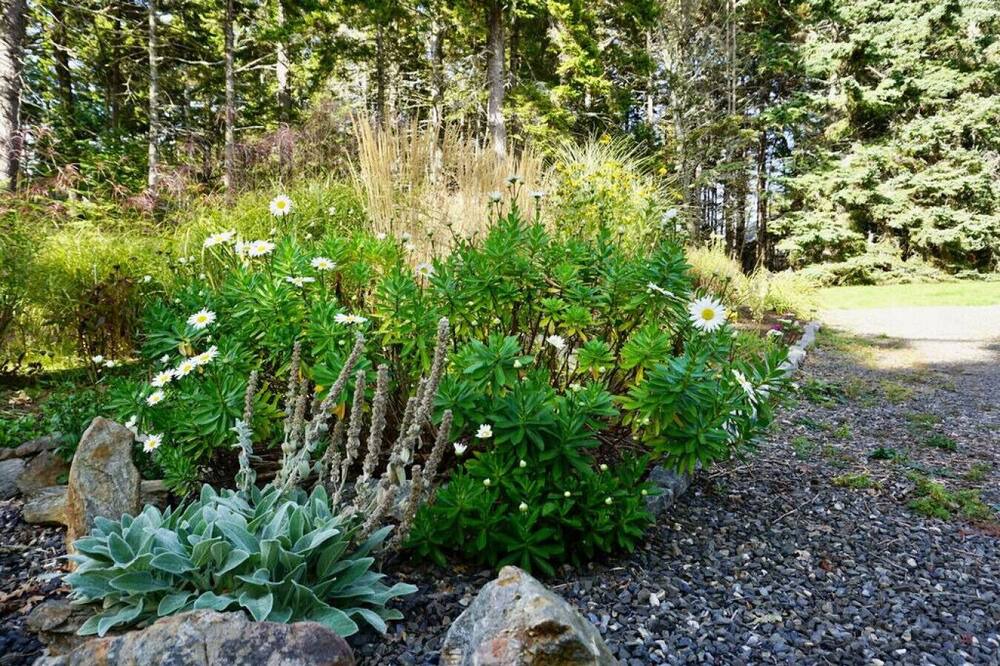 Photo of Others in Ocean Point