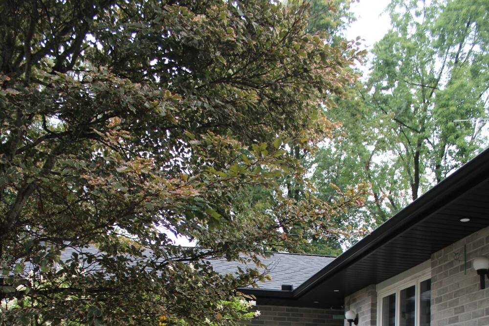Photo of Outdoor in Caledon