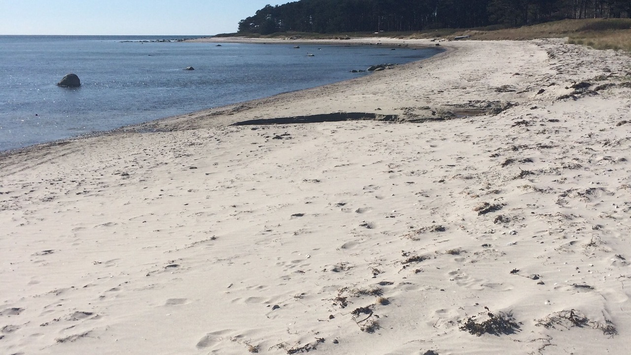 Photo of Others in Lumsas