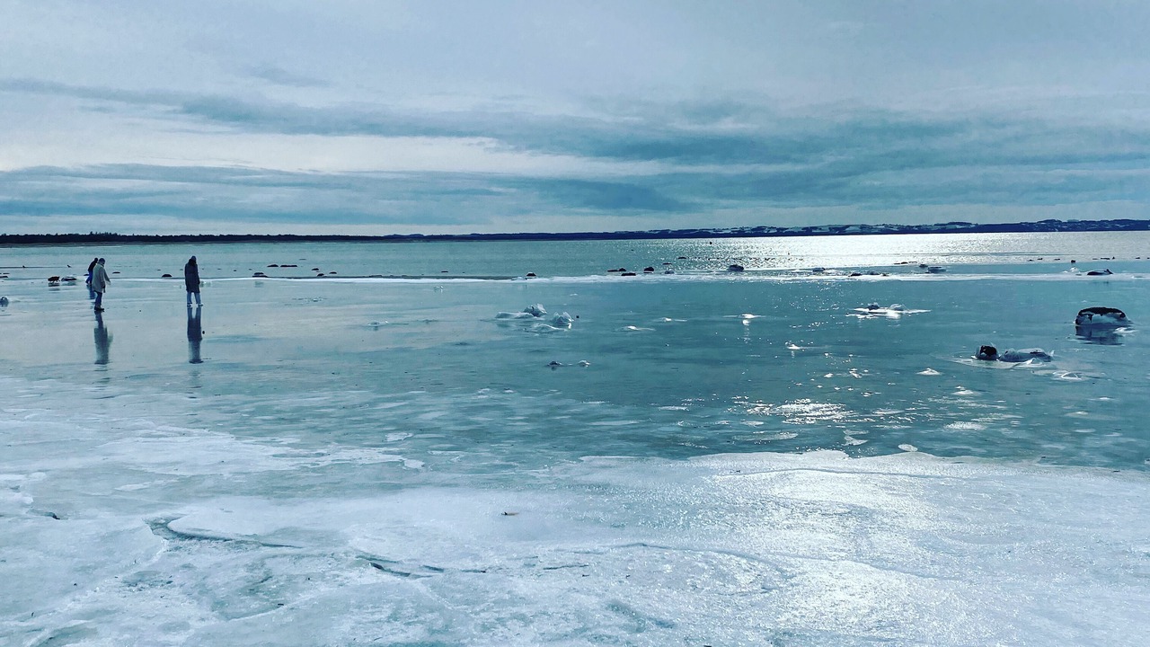 Photo of Others in Lumsas