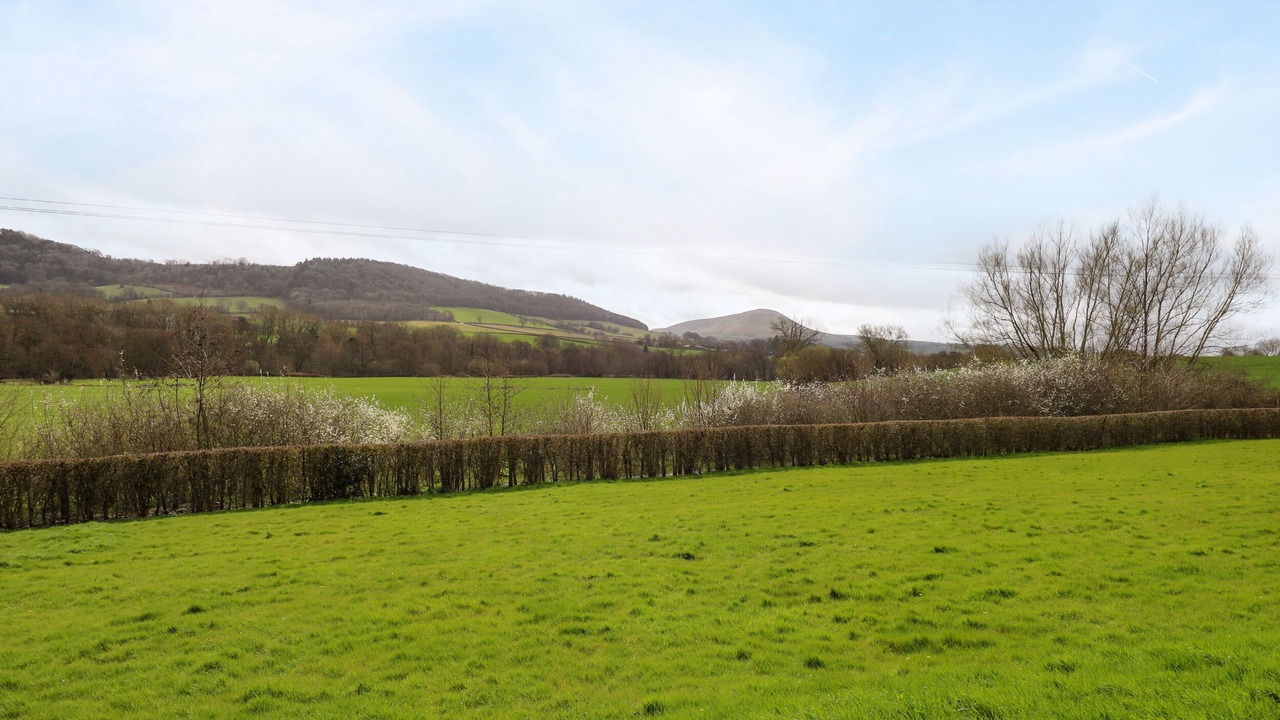 Photo of Others in Llanfihangel Tal-y-llyn