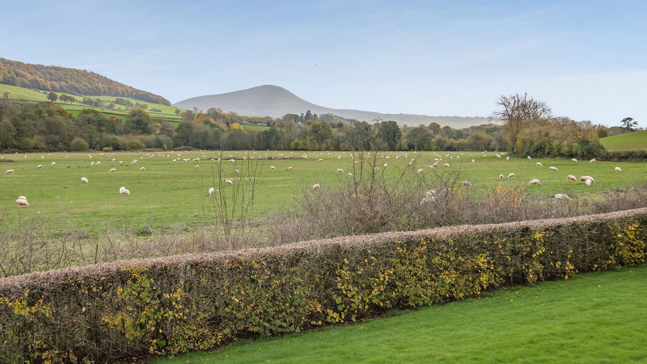 Photo of Outdoor in Llanfihangel Tal-y-llyn